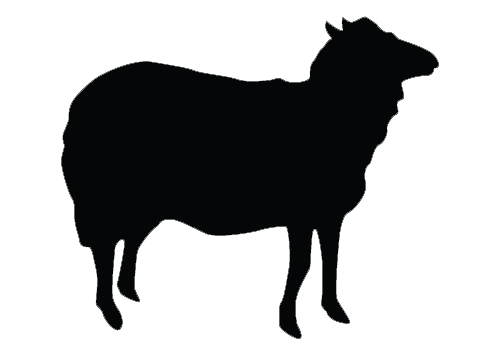 5arof-logo