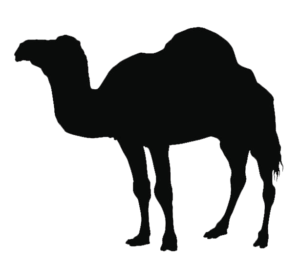 camel-logo