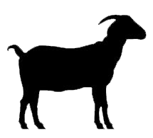 m3za-logo